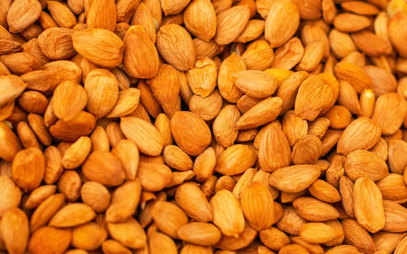 Wholesale Almonds — bulk supply for retail and distribution