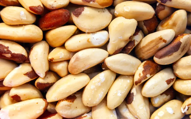 Wholesale Brazil Nuts — bulk supply for retail and distribution