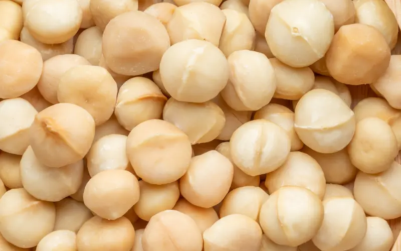 Wholesale Macadamia Nuts — bulk supply for retail and distribution