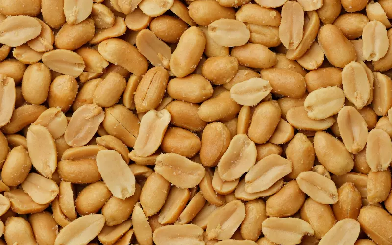 Wholesale Peanuts — bulk supply for retail and distribution