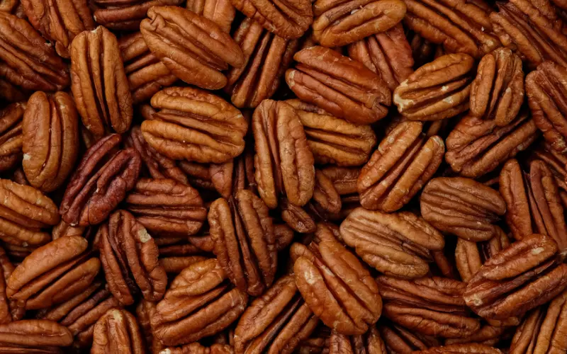 Wholesale Pecans — bulk supply for retail and distribution