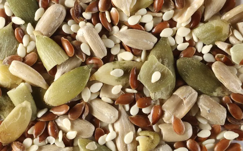 Wholesale Seeds — bulk supply for retail and distribution