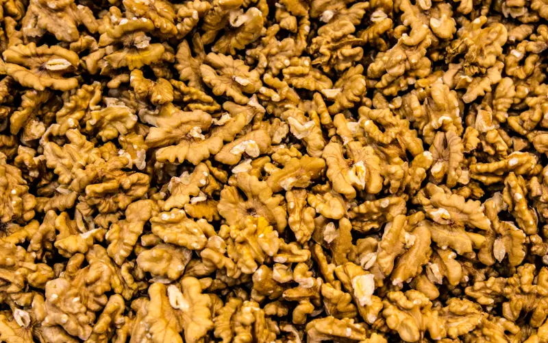 Wholesale Walnuts — bulk supply for retail and distribution