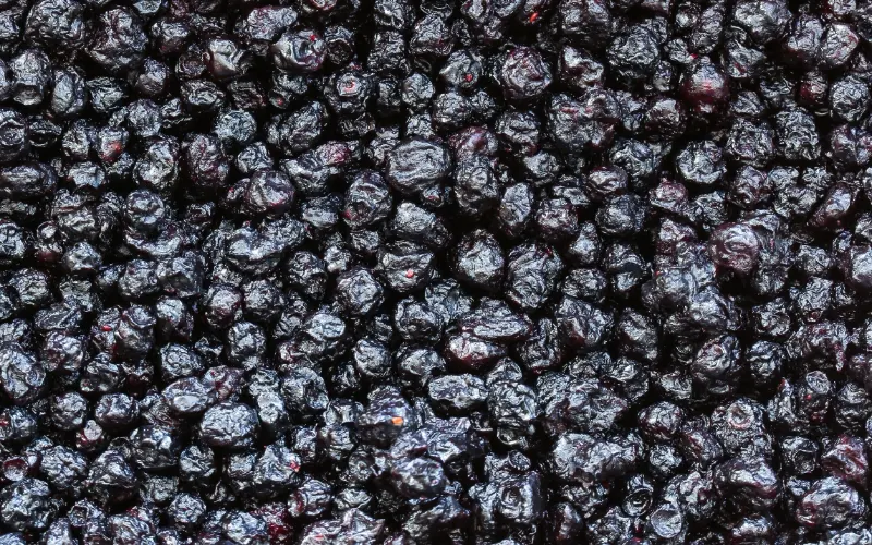 Wholesale Dried Blueberries — bulk dried fruit supply for retail and distribution