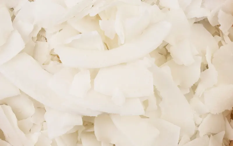 Wholesale Coconut — bulk dried fruit supply for retail and distribution