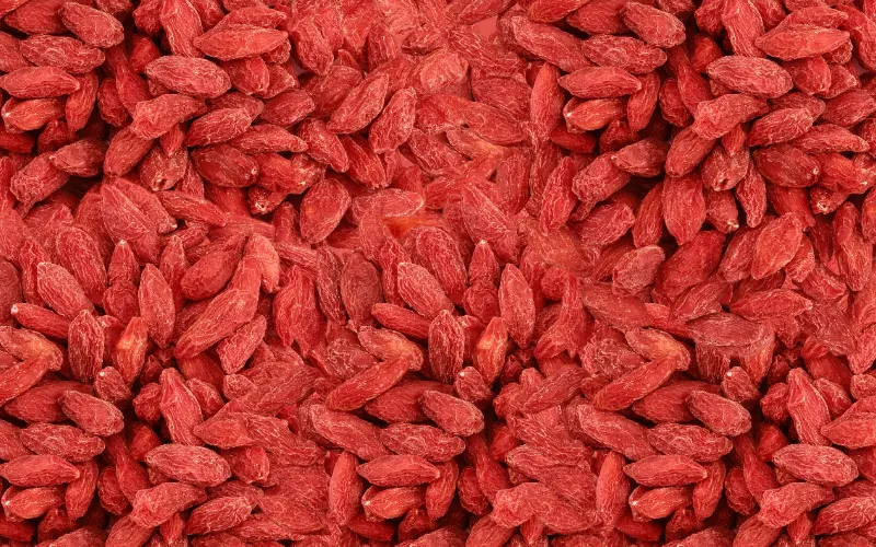 Wholesale Goji Berries — bulk dried fruit supply for retail and distribution