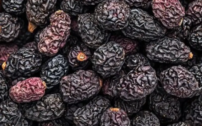 Wholesale Mulberries — bulk dried fruit supply for retail and distribution