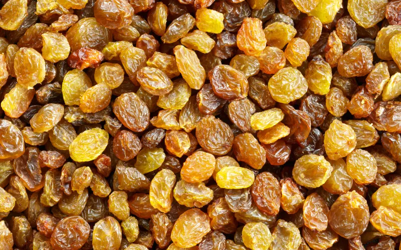 Wholesale Raisins — bulk dried fruit supply for retail and distribution