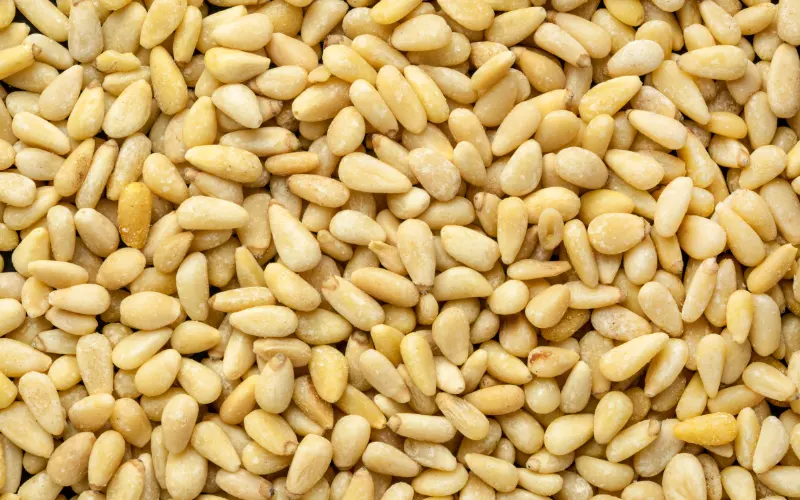 Wholesale Pine Nuts — bulk supply for retail and distribution