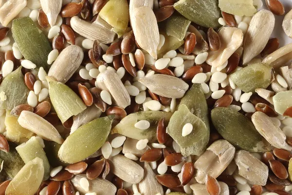 Managing Oil Content and Storage Sensitivity — L'Orenta snack manufacturing facility