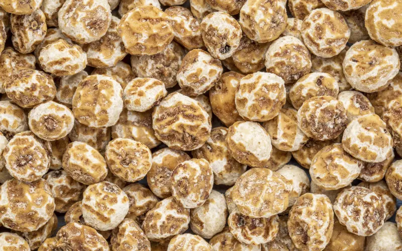 Wholesale Tiger Nuts — bulk supply for retail and distribution