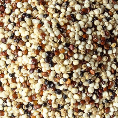 Quinoa for private label packaging